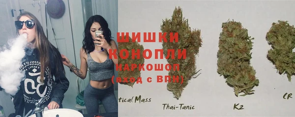 таблы Рославль