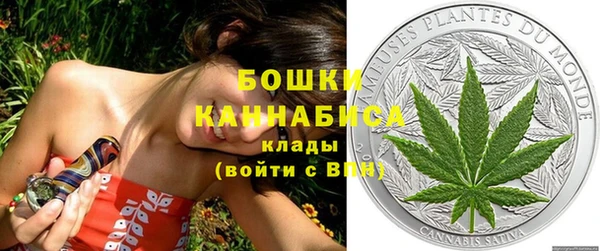 гашик Лабытнанги