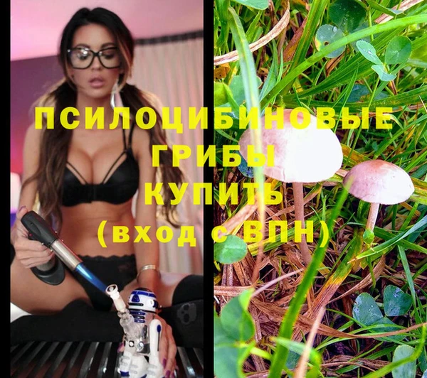 гашик Лабытнанги