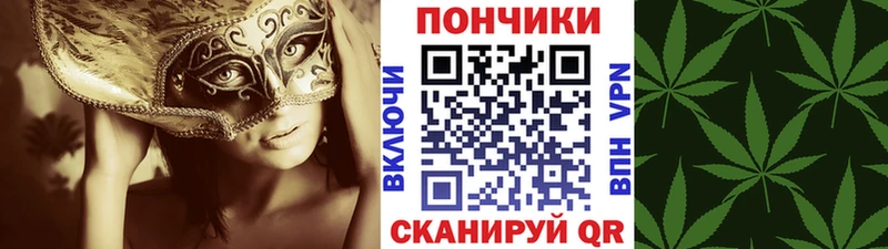 дарк нет клад  Сураж  Бошки Шишки OG Kush 